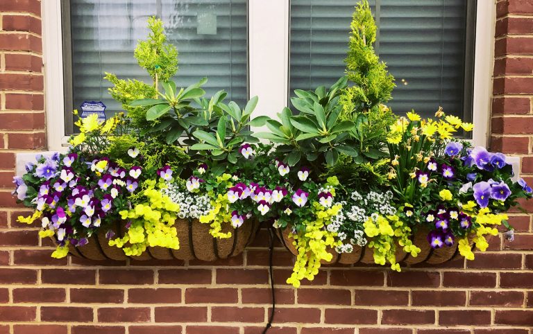 Residential Planters & Window Box Subscription | Changes Seasonally ...