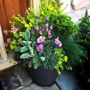 About Us | Subscription Flower Delivery | Enliven Planters