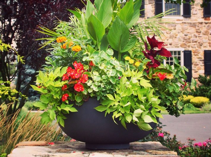 Home - Enliven Planters