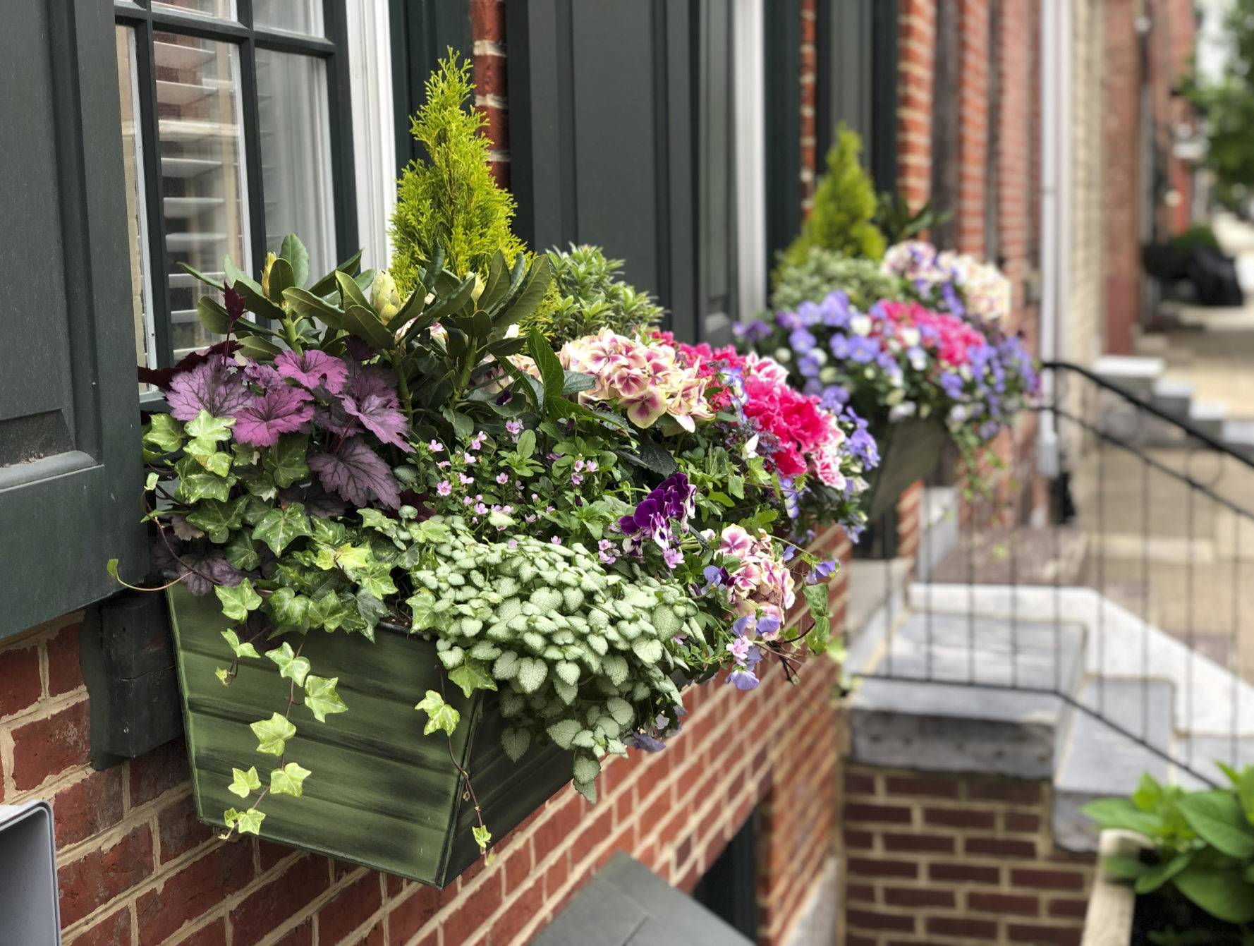 Spring header - Enliven Planters