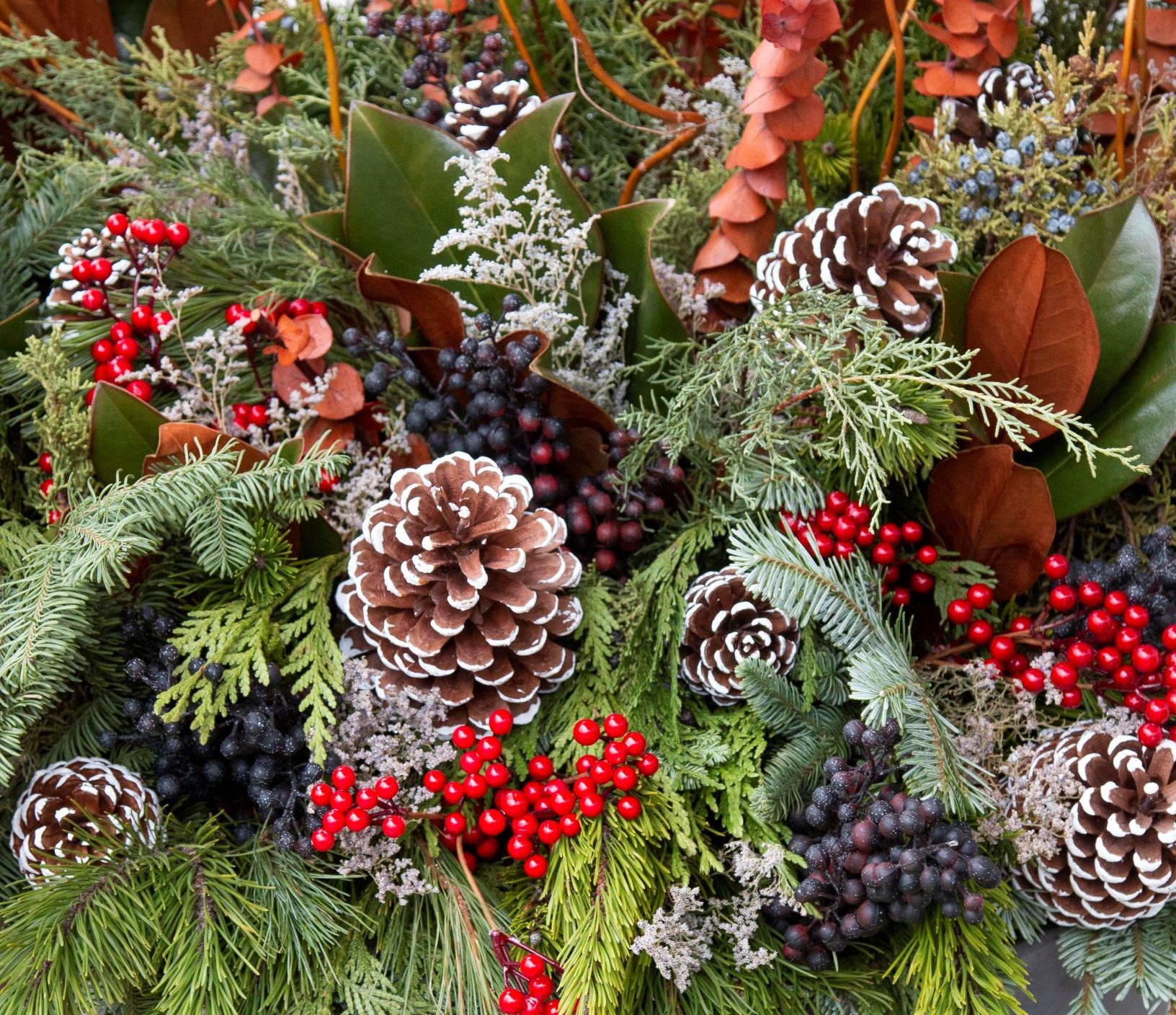 Winter Plant Subscription Refills