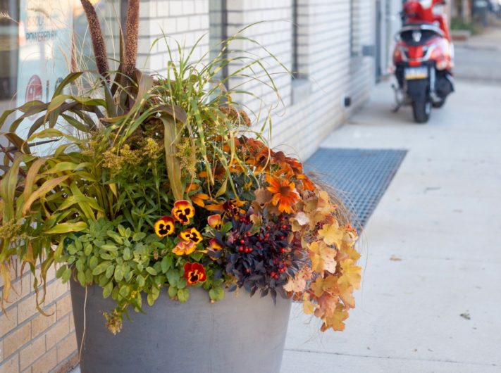 Featured Autumn Planter
