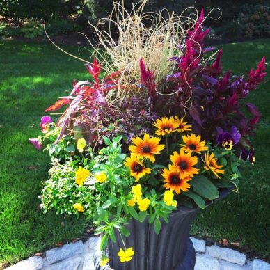 Enliven Planters | Philadelphia, PA | Seasonal Flower Delivery