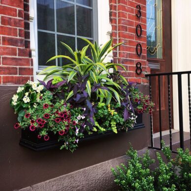 Subscription Planters & Window Boxes for Your Home or Business ...