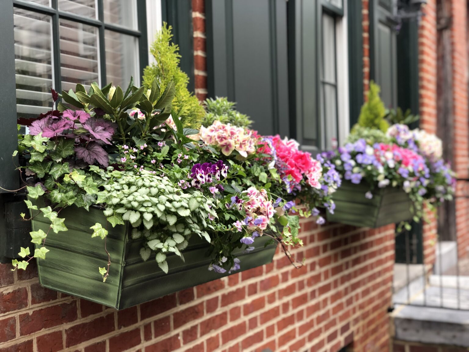 Residential Planter | Subscription Window Box | Enliven Planters