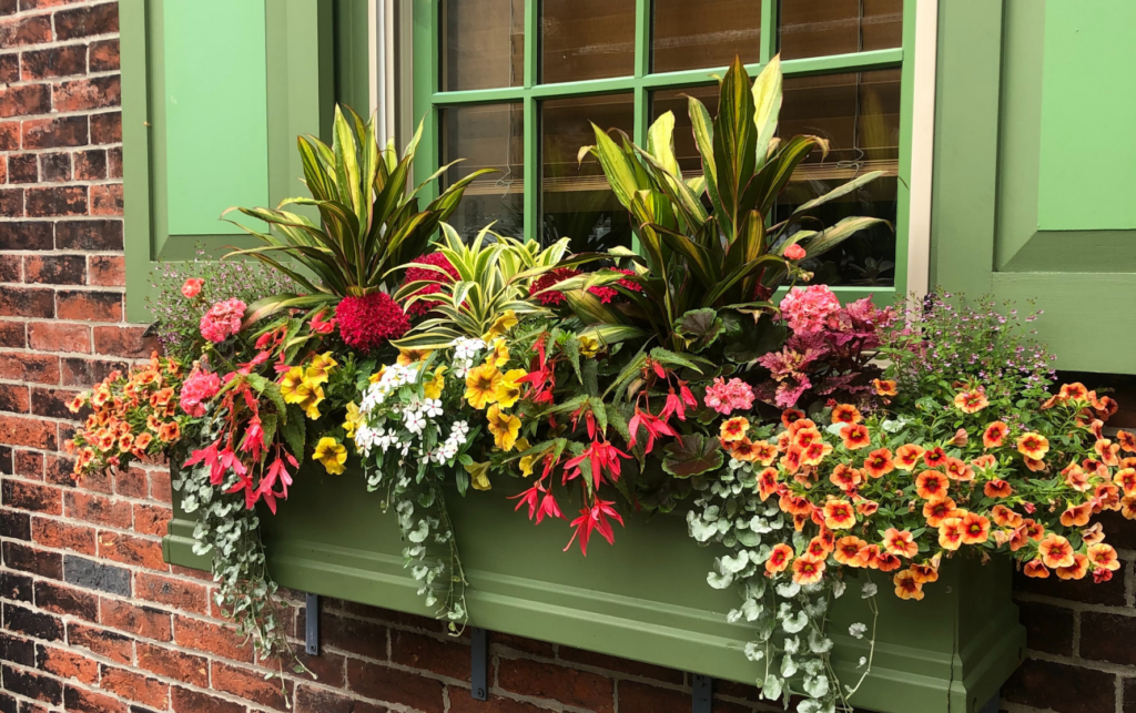 Residential Planter | Subscription Window Box | Enliven Planters