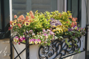 Farimount Planter Box - Spring Arrangement