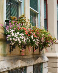 Vibrant arrange of flowers by a stone building's windows