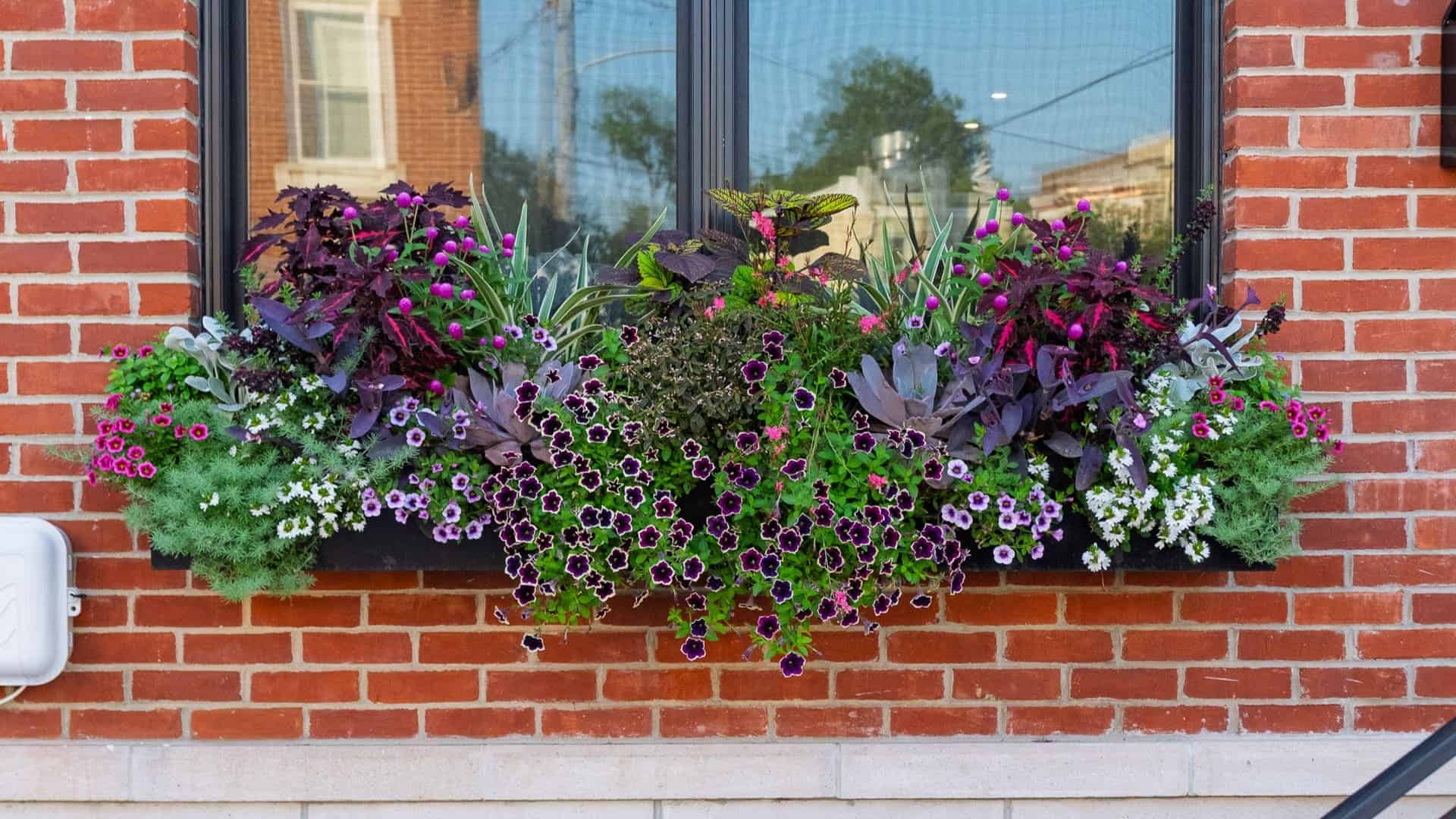 Fishtown Window Boxes: Modern Philadelphia