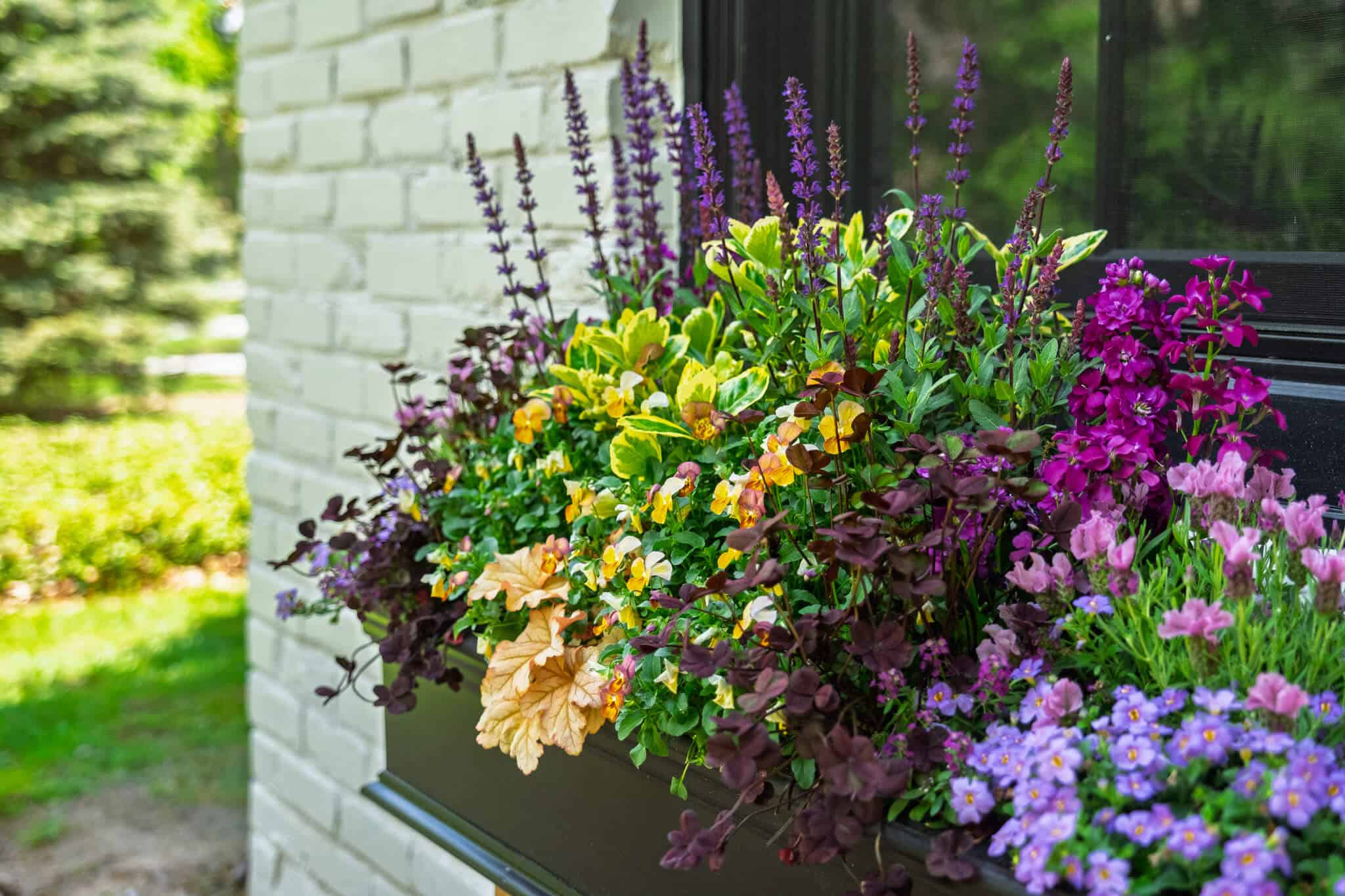 Spring-Residential-2025 6