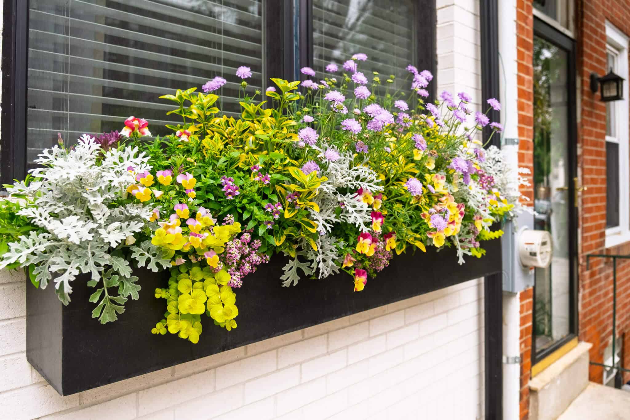 Spring-Residential-2025 5