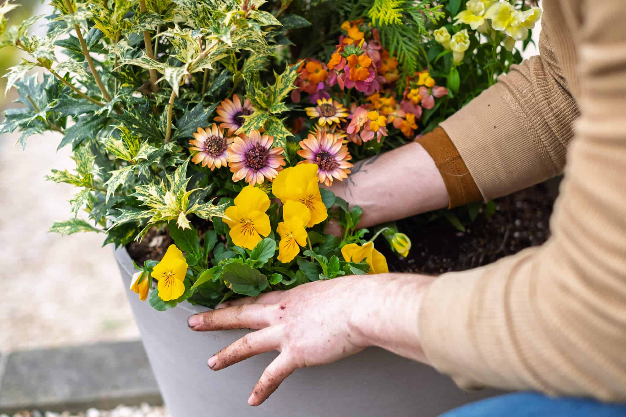 Spring-Residential-2025 7