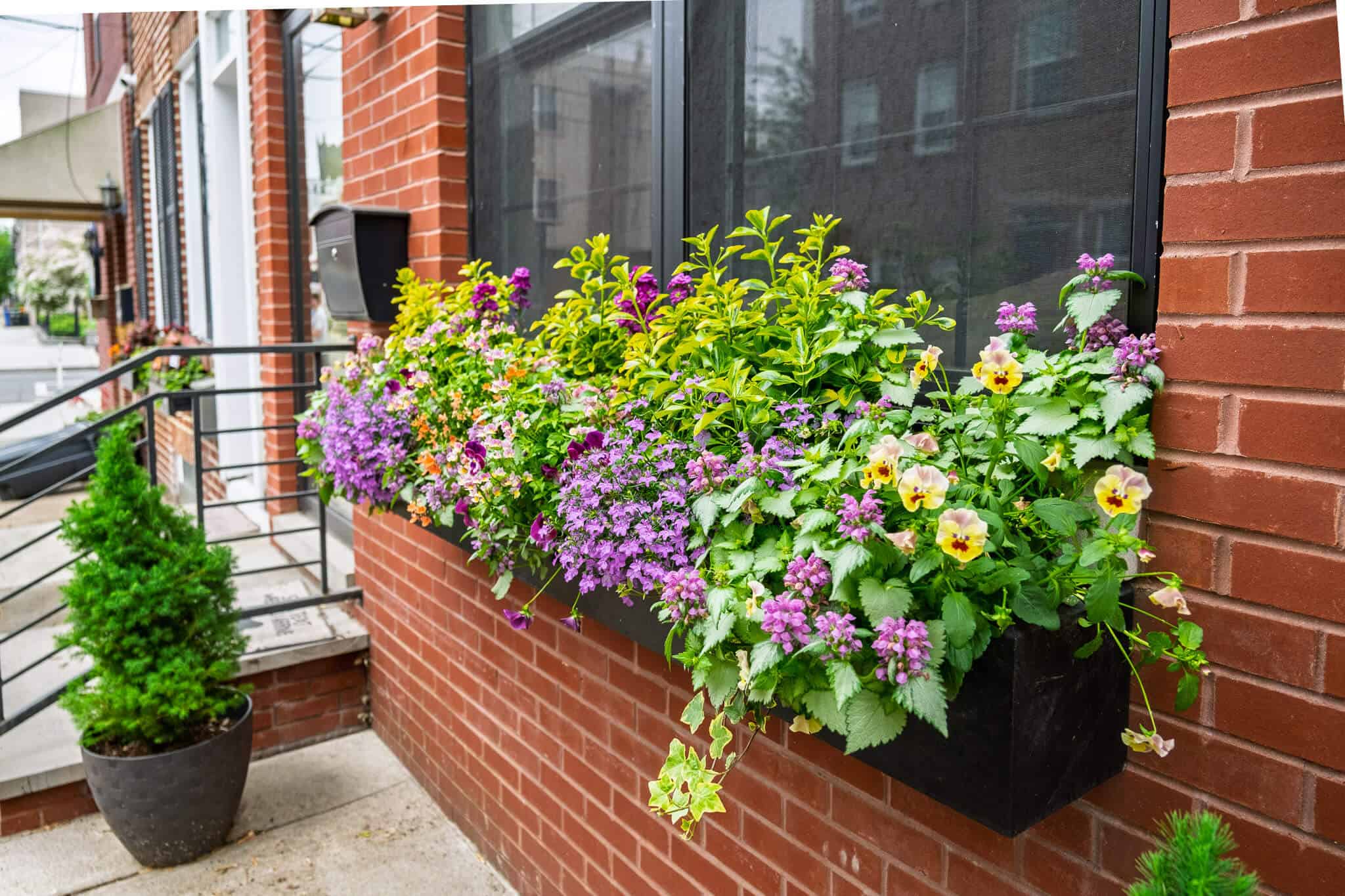 Spring-Residential-2025 4