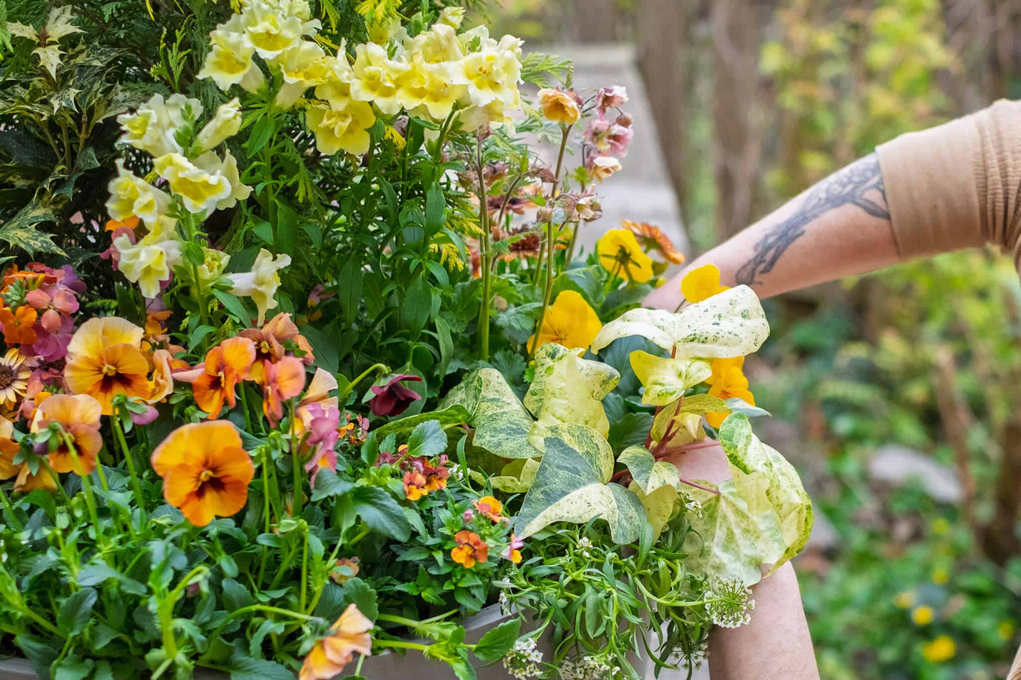 Spring-Residential-2025 1