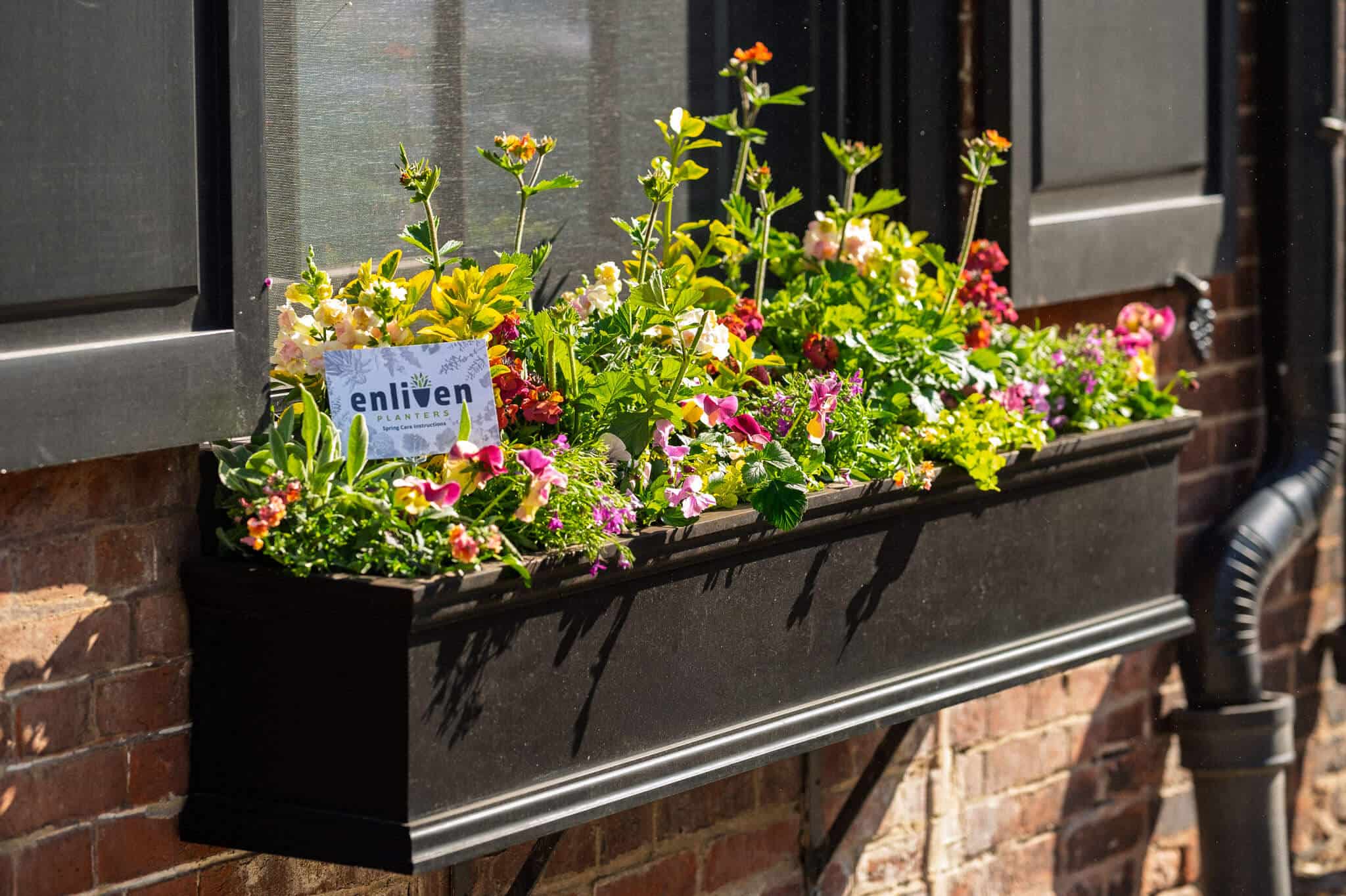 Spring-Residential-2025 3