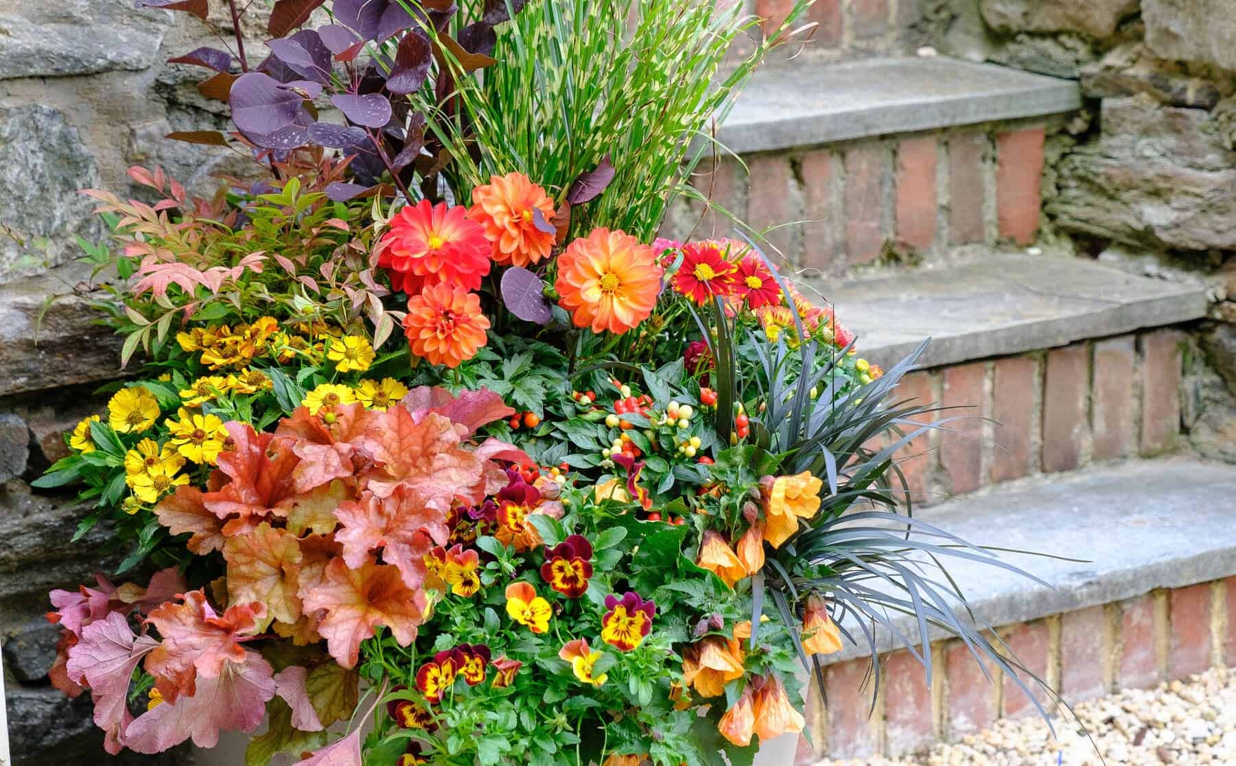 Large mixed planter beside stone-and-brick steps with orange dahlias, yellow flowers, pansies, grasses, and copper-toned leaves.