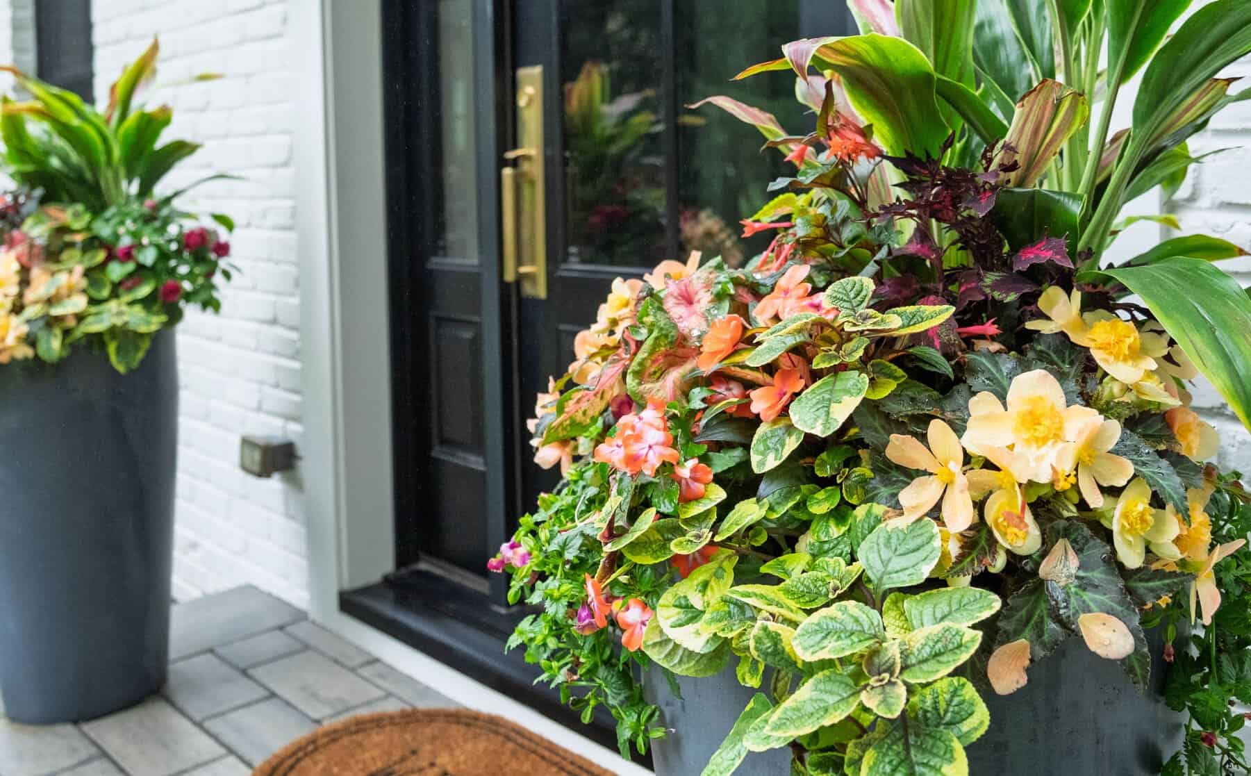 Front entry with black door and large container overflowing with yellow and peach blooms, patterned foliage, and tall tropical leaves.
