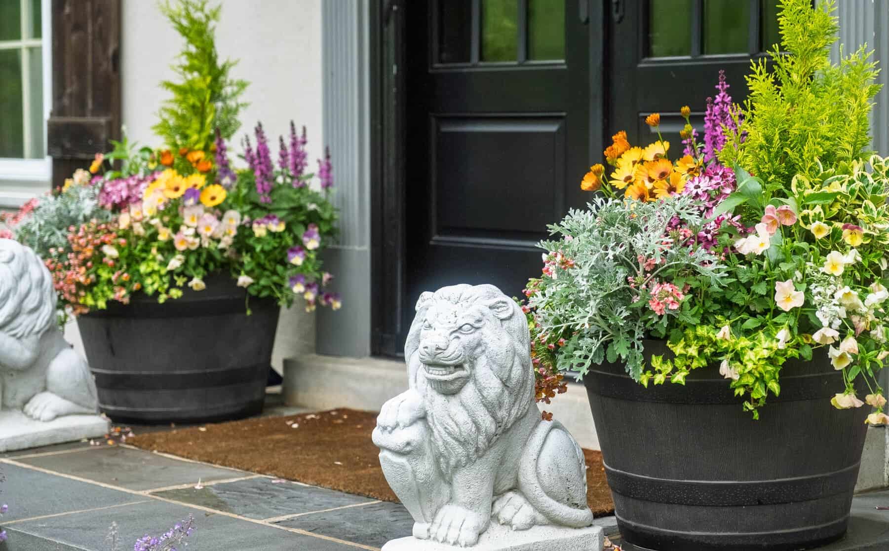 Front porch with black double doors, two large flower planters, and a stone lion statue by the entry.