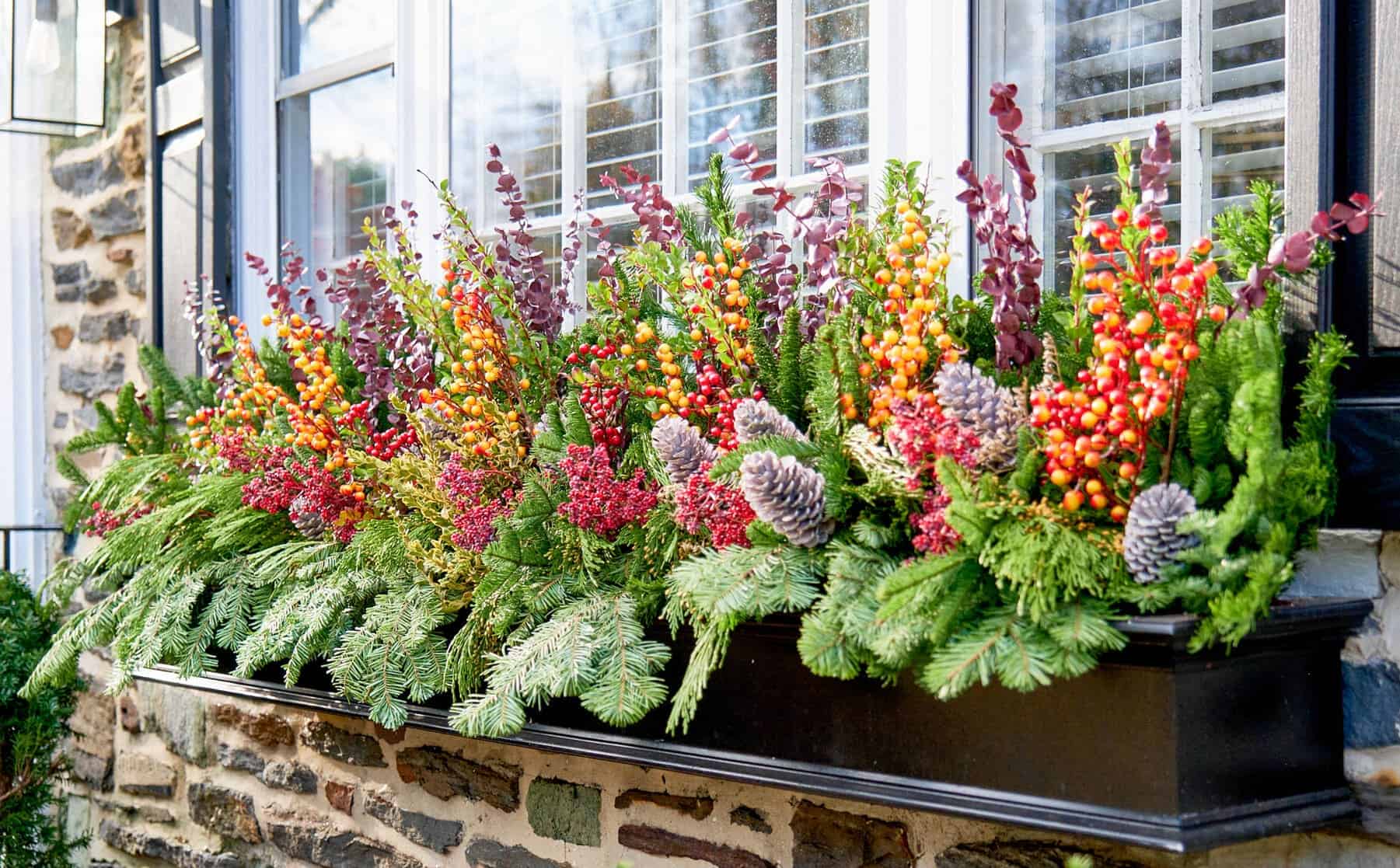 Long black window box on a stone house overflowing with fir boughs, pinecones, red berries, and tall copper-colored branches.