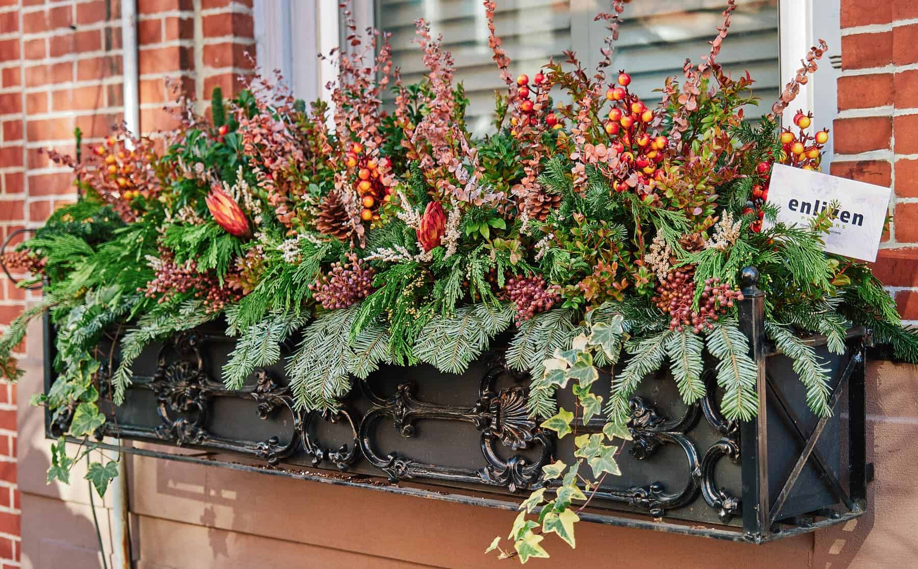 Holiday window box on a brick building overflowing with evergreen boughs, pinecones, berries, and copper-toned branches, with ivy trailing over the edge.