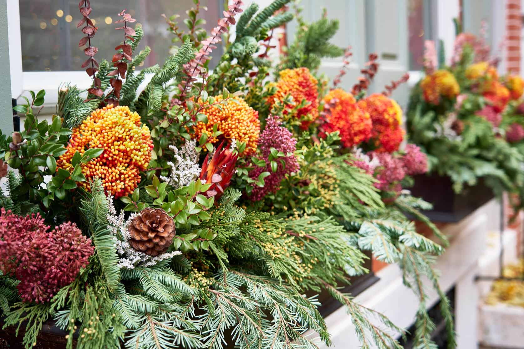 Close-up of a festive window box with orange berry clusters, pinecone, evergreen sprays, and pinkish dried flowers, with more boxes blurred behind.