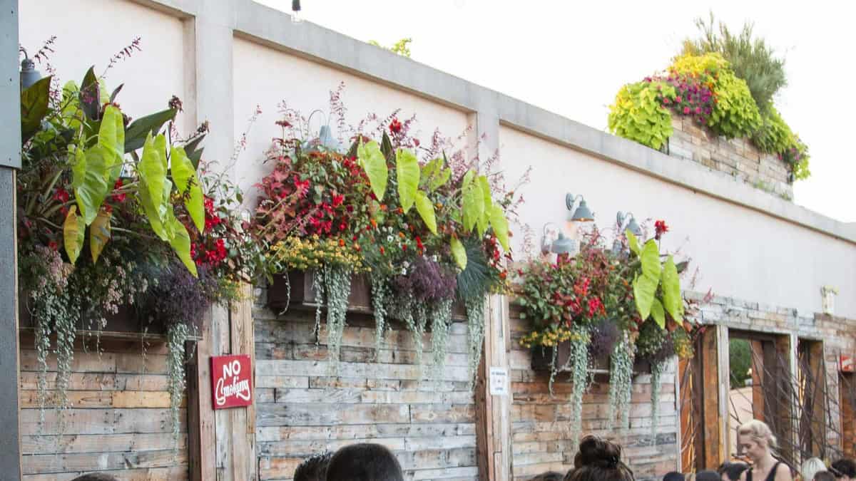 Pop-Up Gardens, Rooftops, Beer Gardens & Outdoor Dining Spaces: How We Help Businesses Get Ready for Summer